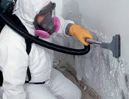 Best Basement Mold Removal in Northvale, NJ